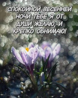 Весенние картинки спокойной ночи