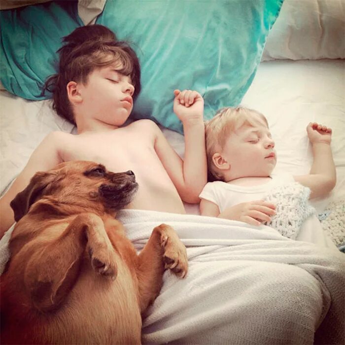 Домашние животные для детей. Собака для детей. Фотосессия с домашним питомцем. Дети спят с животными. Понравились собачки