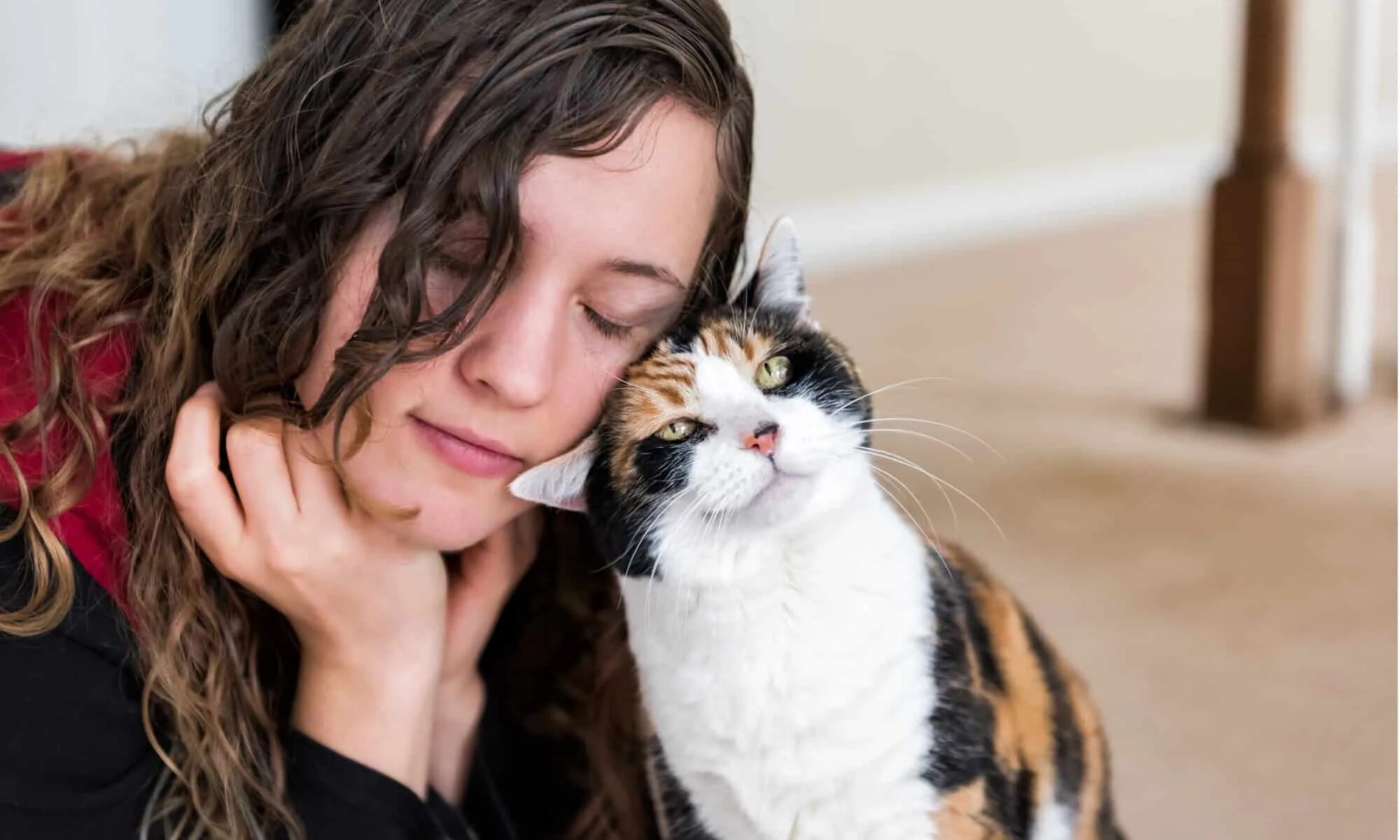 Getting a cat
