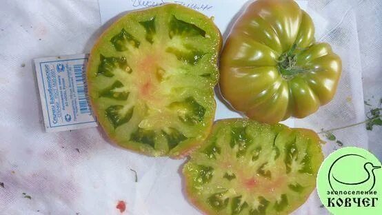 Томат тимьян. Томат wild thyme. Томат дикий тимьян wild thyme. Томат wild thyme. Томат тимьян.