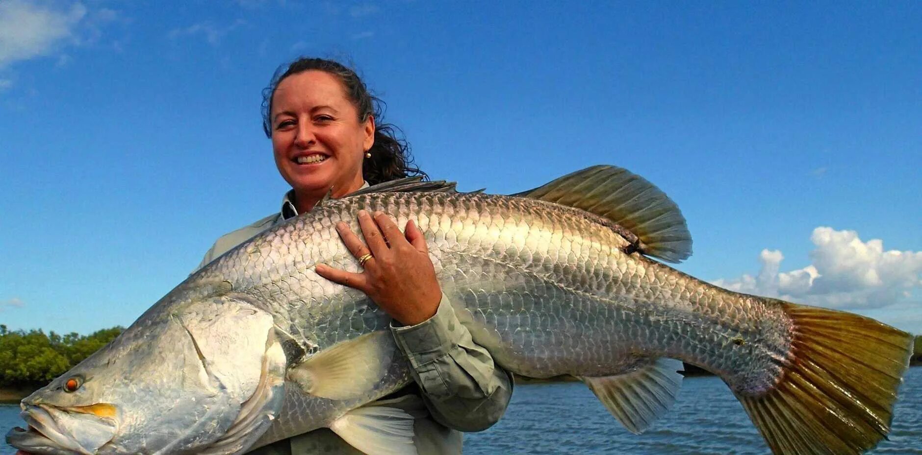 Окунь Барамунди австралийский. Морской окунь Барамунди. Белый окунь Барамунди. Баррамунди Австралия.