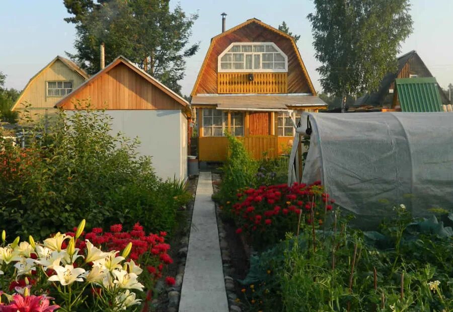 Купить огород участок. Дачные домик в садоводсве. Домик с огородом. Дачный домик с огородом. Огород на даче.