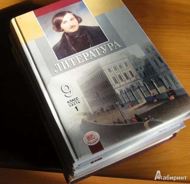 Родная литература 9 класс. Литра 9 класс учебник. Мнемозина литература. Литература 9 класс 3 часть. Новый учебник литературы