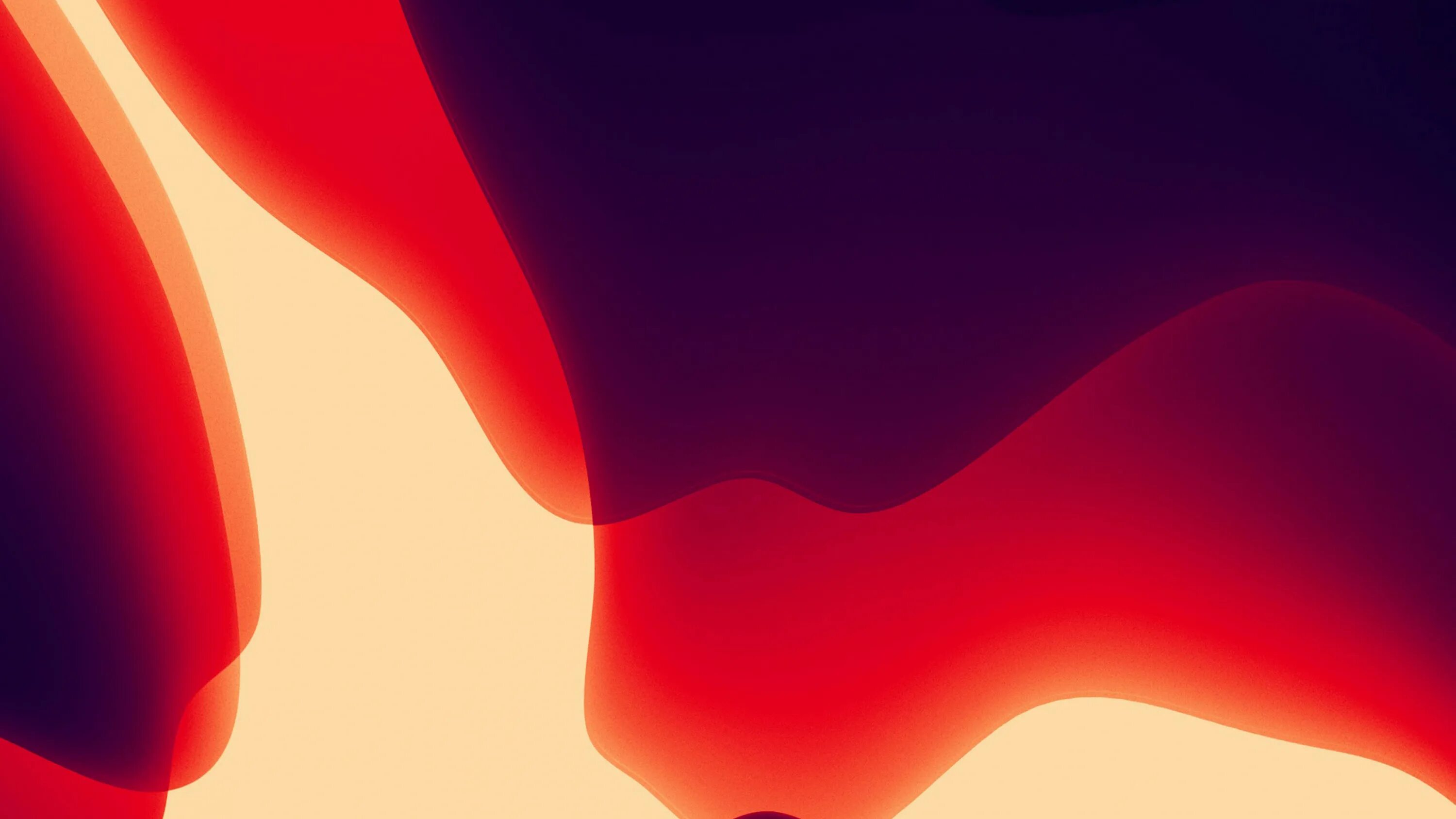 фото обои айфон 14 про