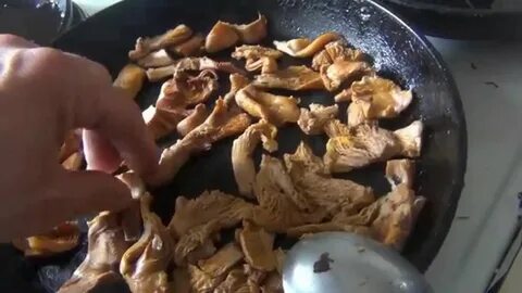 Жарят ли грузди