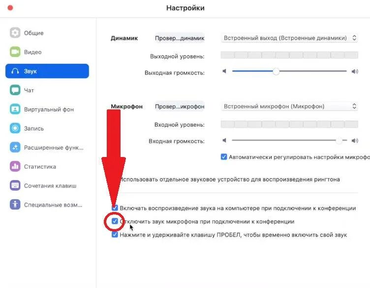 Включи другие звуки. Как отключить звук в зуме на компьютер. Как отключить звук в зум на компьютер. Зум как выключить звук микрофона. Как выключить микрофон в зум телефон.