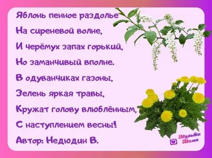 Стихи про дерево короткие