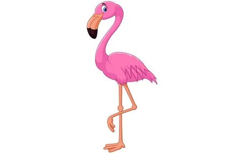 Векторный рисунок фламинго
