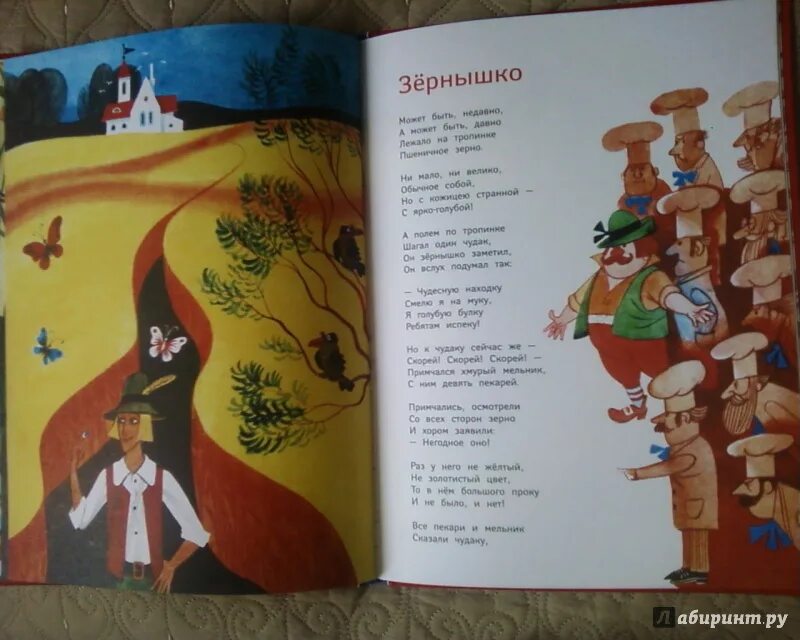 Стихи зернышко. Стихи зернышко