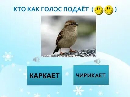 Прочитайте какие слова пропущены чирикает а каркает