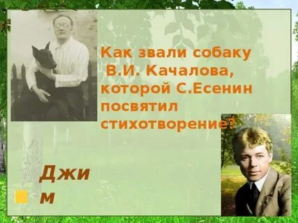 Стих есенина джим