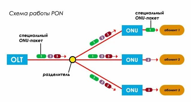 Категории пон