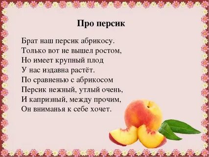 Текст абрикос