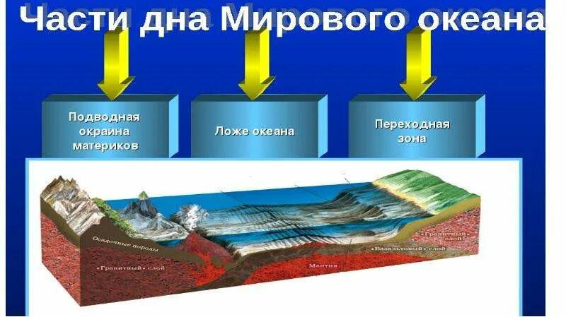 Рельеф мирового океана 5 класс география. Рельеф дна мирового океана 5 класс. Строение дна мирового океана 5 класс. Ложе океана. Схема строения дна океана.