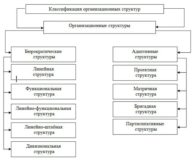 Структурные особенности организации. Типы структур управления предприятием. Элементы организационной структуры управления организации. Виды организационных структур организации в менеджменте. Типы структур управления организацией.