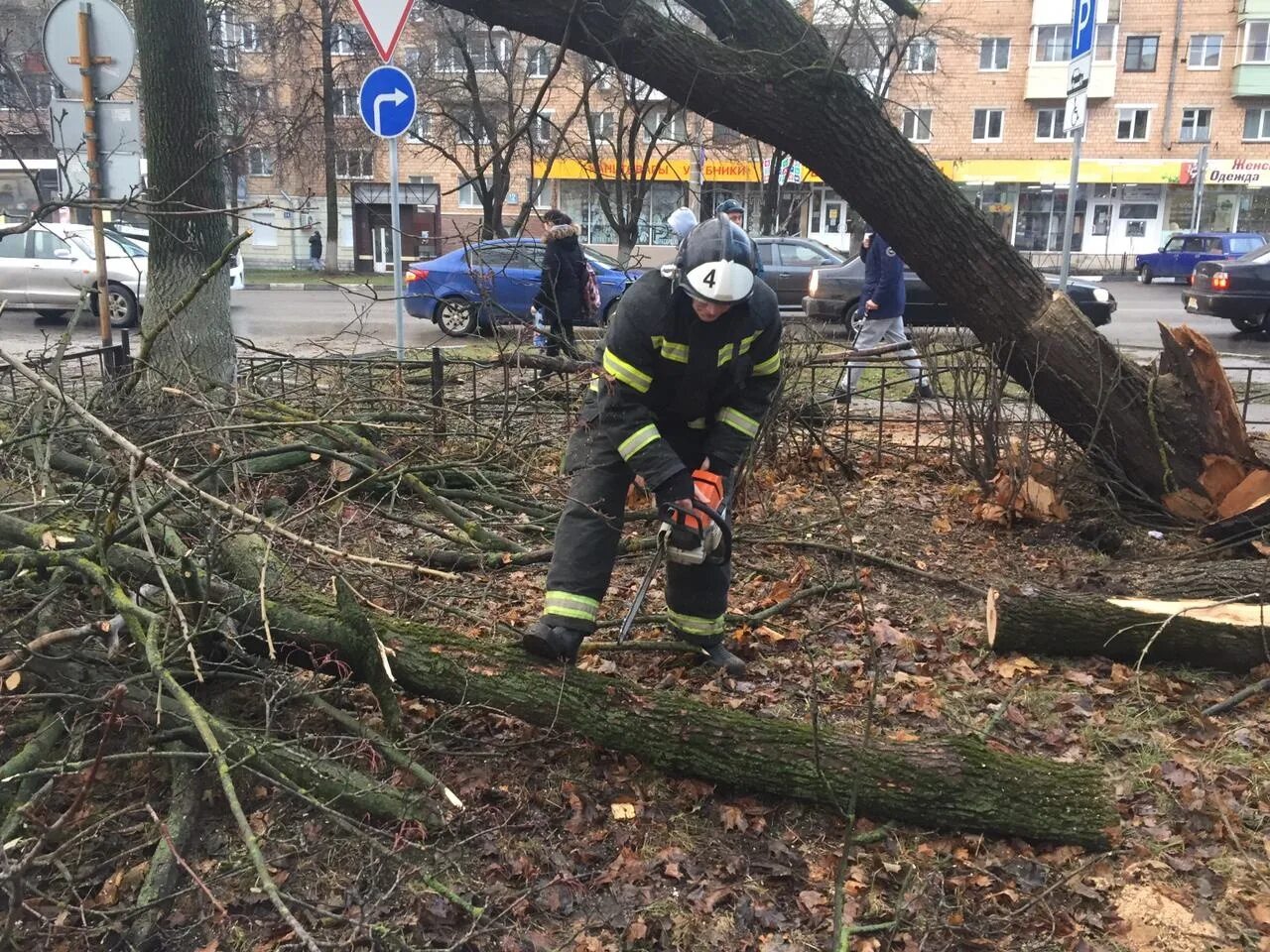 30 ноября пройдет. Дерево упало на подстанцию. Стихийное бедствие в Тульской области. Неблагоприятные метеоявления.