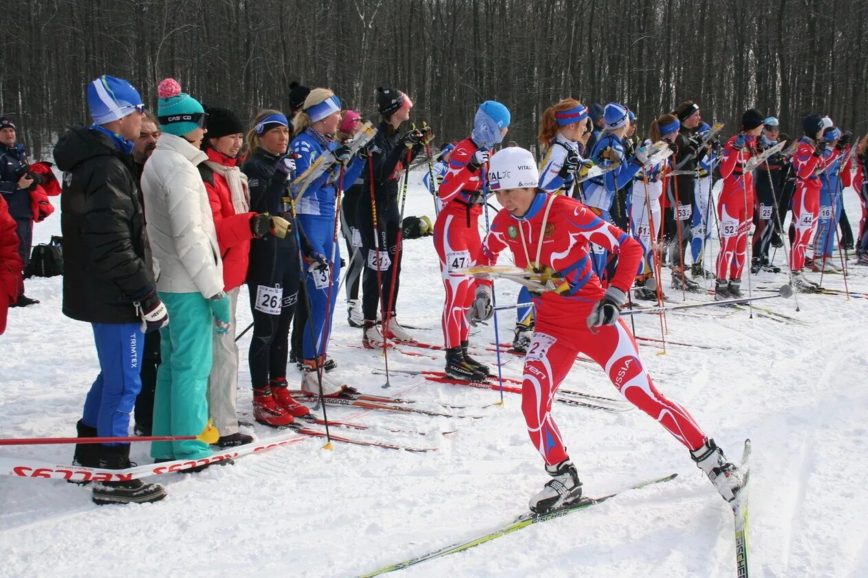 Спорт Пермского края. Спортивное ориентирование. Спортивное ориентирование Пермь. Кубки лыжные соревнования. Мастер спорта пермь