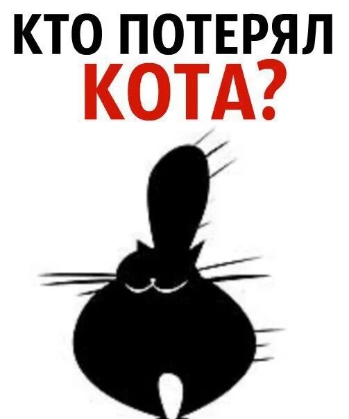 У кого нет кота. Кто потерял кота. кто что потерял?. чей кот. кто потерял кота картинки.