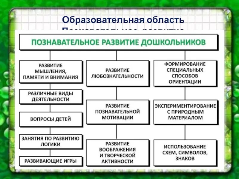 Содержание образовательных областей познавательное развитие. Образовательная область познавательное развитие. Познавательное развитие это какие занятия. Какие занятия относятся к познавательному развитию. Уровни познавательного развития дошкольников.