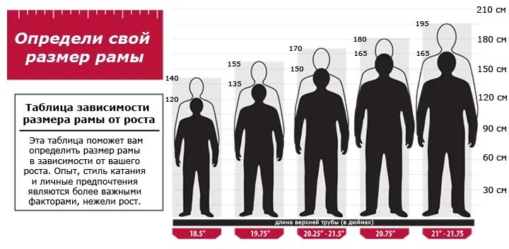 Как определить избранного человека. Человеческий рост таблица. Средний мужской рост. Средний рост человека. Рост мужчины таблица средний.