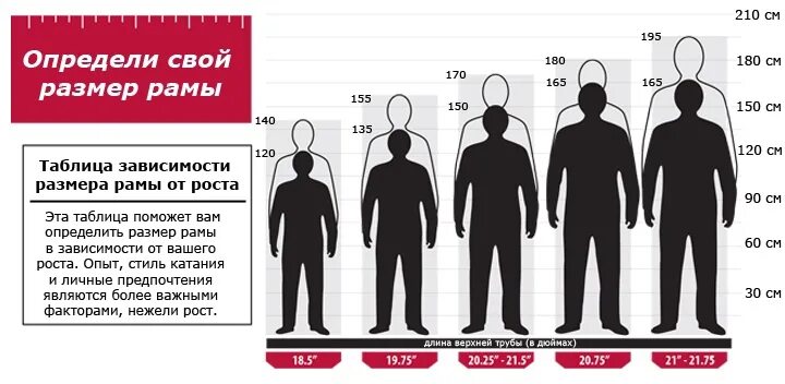 Как определить избранного человека. Человеческий рост таблица. средний мужской рост. средний рост человека. рост мужчины таблица средний.