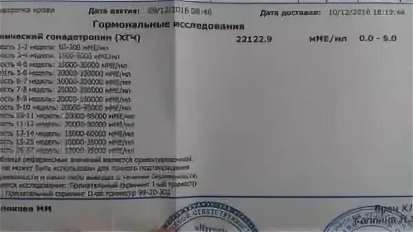 Хгч на 3 неделе беременности
