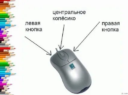 Составляющие мышки