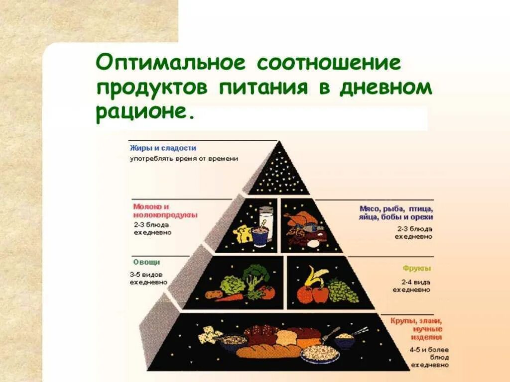 Продукты 1 уровень. Соотношение продуктов в рационе питания человека. Рациональное питание таблица. Правильное питание соотношение. Потребность правильного питания.