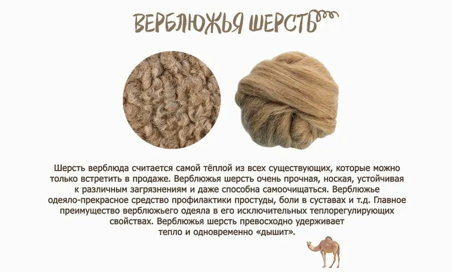 Шерсть значение. Верблюжья шерсть. шерсть верблюда. сообщение о верблюжьей шерсти. верблюжья шерсть изделия.