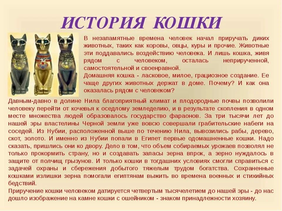 История 1 кошки. Рассказ про кошку. Исторические сведения о кошках. История домашних кошек. Рассказ о домашних кошках.