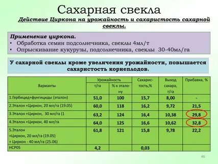 Сколько сахара получается из сахарной свеклы