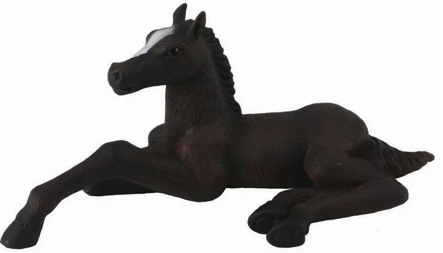 Рассмотрите фотографию коричневой лошади с черными ногами