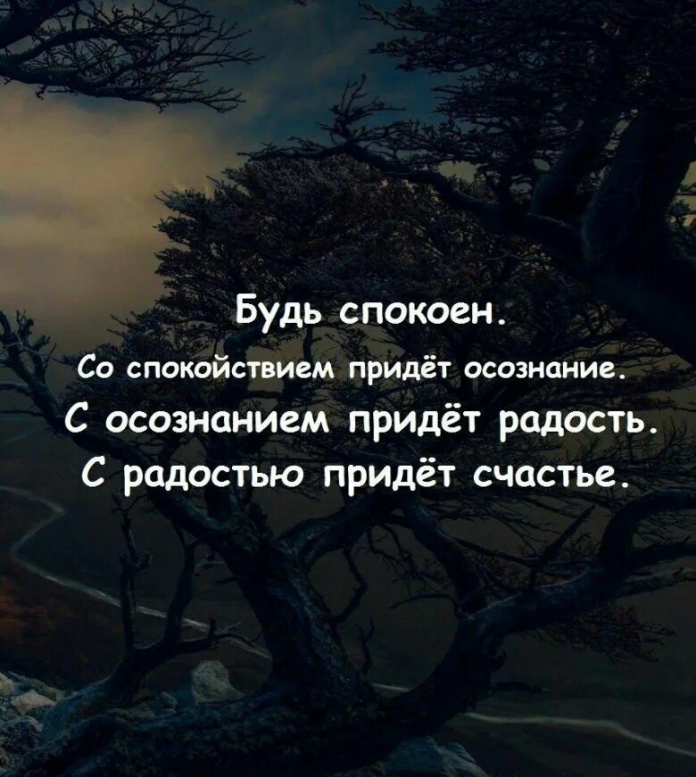 Спокойные цитаты со смыслом. Мудрые мысли. цитаты. мысли цитаты. спокойствие цитаты.