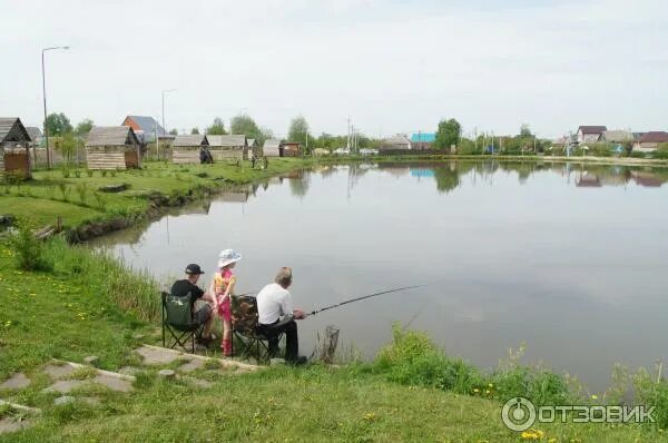 Стадион рыбалка. Шагаровка рыбалка Белгород. Шагаровка пруд Белгород рыбалка. Рыбалка в Завидовке в Белгородской области. Пруд Завидовка в Белгородской области.