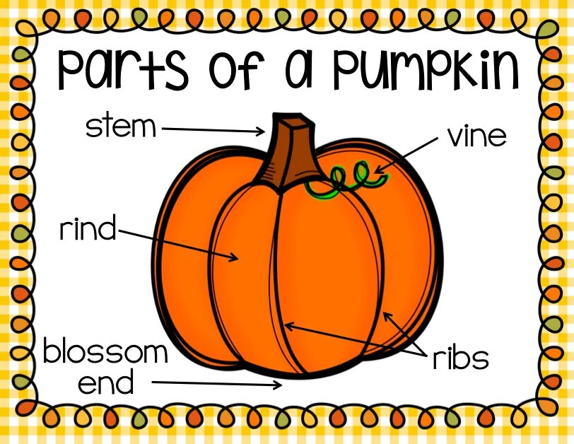 Тыква на английском языке для детей. Parts of a Pumpkin Worksheets. Parts of Pumpkin in English. Веселая тыква на английском для детей. Тыква на английском