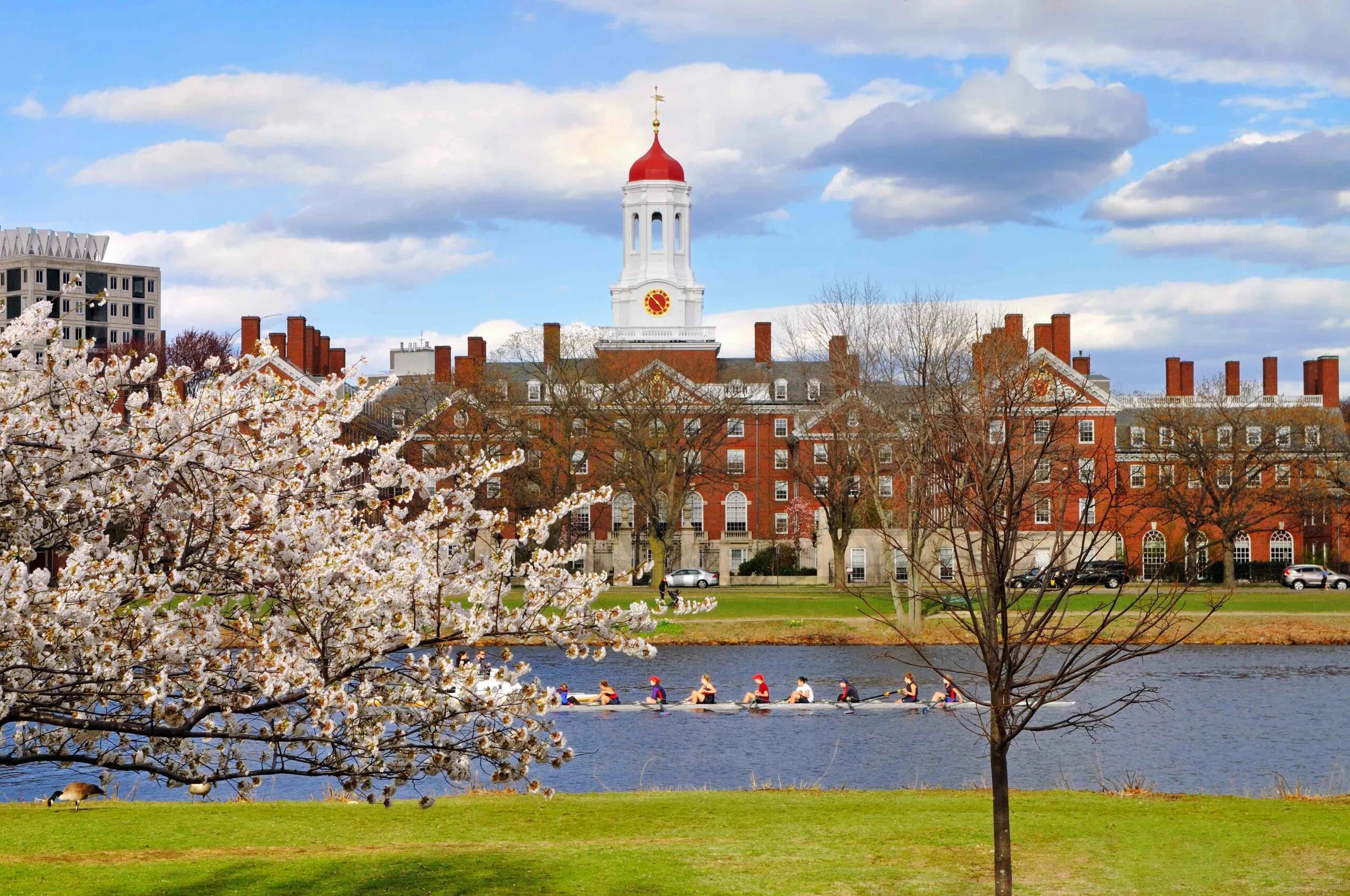 Harvard university cambridge. Массачусетс университет Гарвард. Гарвардский университет Кембридж США. Harvard University Кембридж, штат Массачусетс, США. Гарвардский университет кампус.