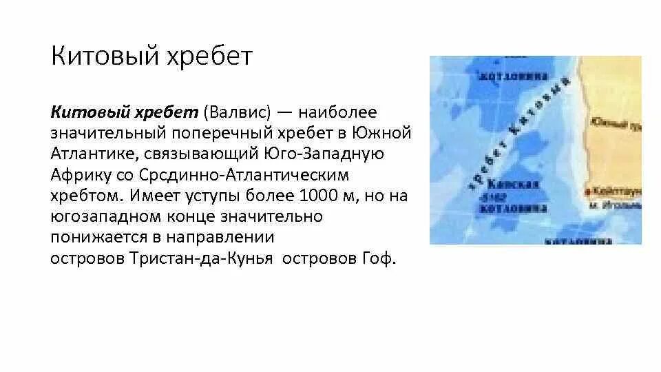 Китовый хребет. Китовый хребет на карте. Рельеф дна Атлантического океана. Океан граничит с сушей