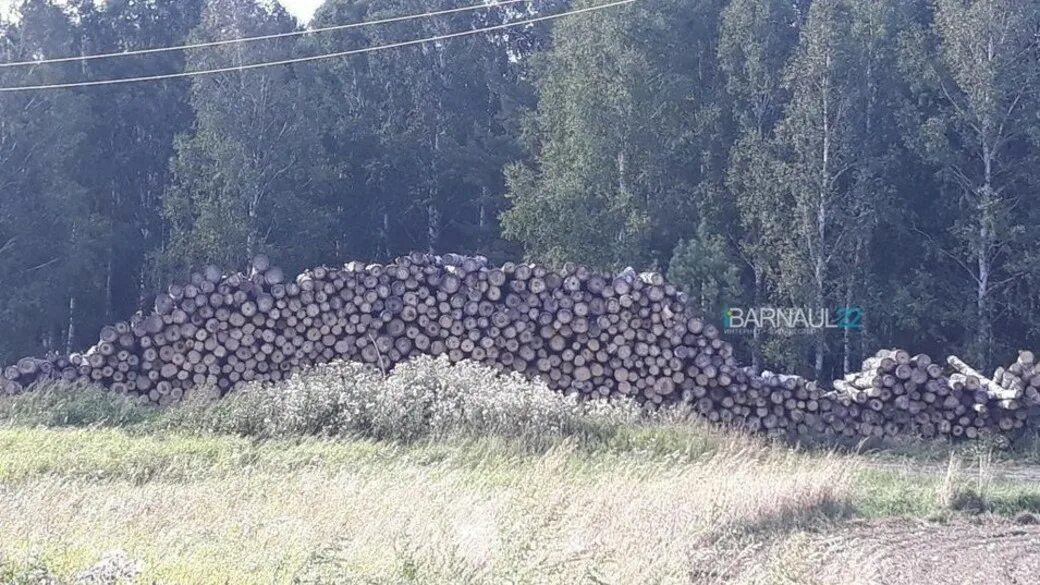 В косихинском районе расположенном в северо