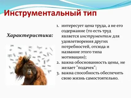 Инструментальная мотивация