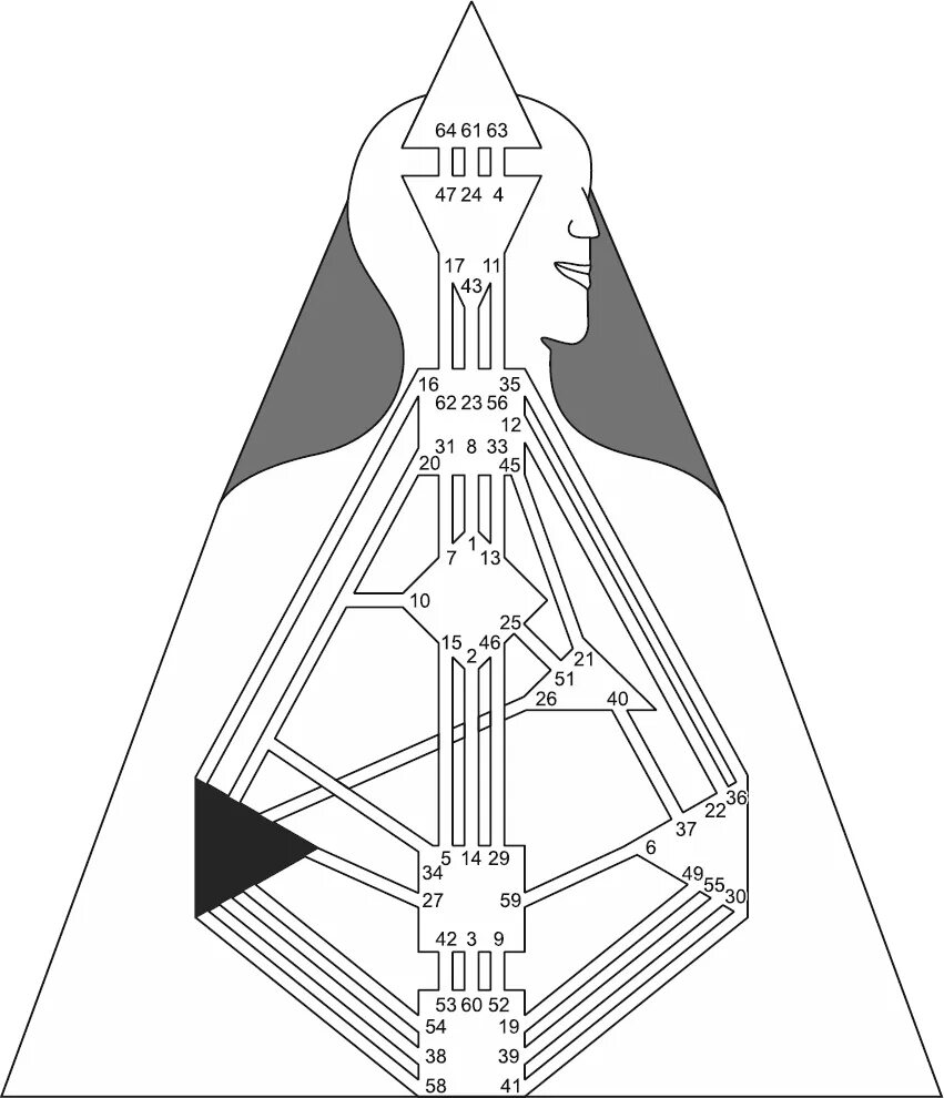 Центр селезенки в дизайне человека. Селезенка Human Design. Контуры в дизайне человека. Племенной контур дизайн человека. Авторитеты в дизайне человека