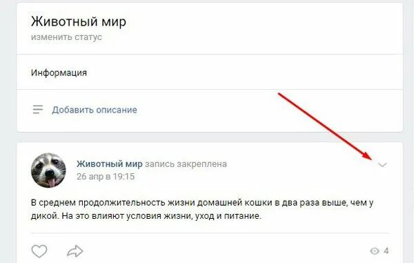 Как закрепить запись в сообществе. Закрепить запись на стене. запись закреплена.