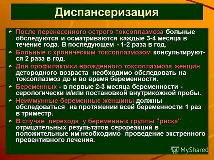 Диспансеризация животных