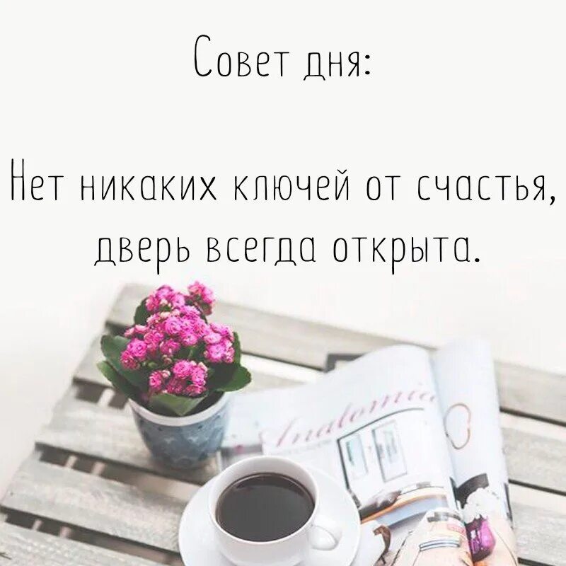 Девушка у окна. Девушка в солнечных лучах. Совет дня. Глаза открыла утром встала нам кажется. Статусы про кофе.