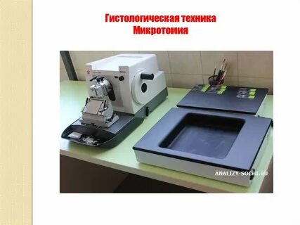 Гистология аппараты