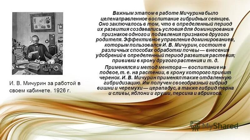 Можно ли управлять доминированием признаков. Как можно управлять доминированием признаков. Управление доминированием. Кодоминирование и неполное доминирование. Можно ли управлять доминированием признаков.