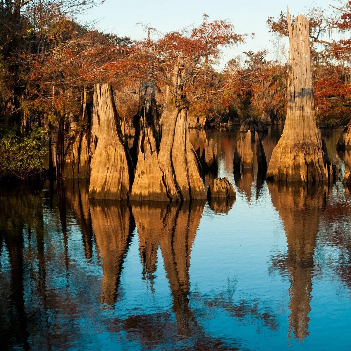 Wewahitchka, Florida. Wewahitchka. Dead lakes