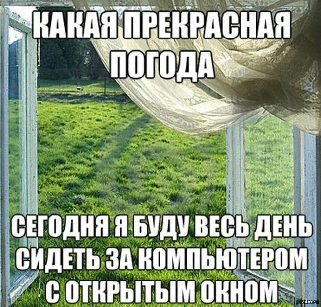 Фото приколы на погоду. Приколы про погоду. Какая прекрасная погода. Смешные картинки про погоду