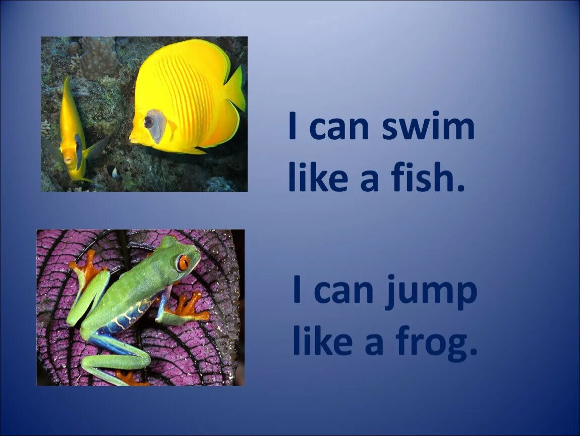 I can Swim like a Fish. I can Jump like a Frog. Frog can Swim. Swim like a Fish. I fish can jump