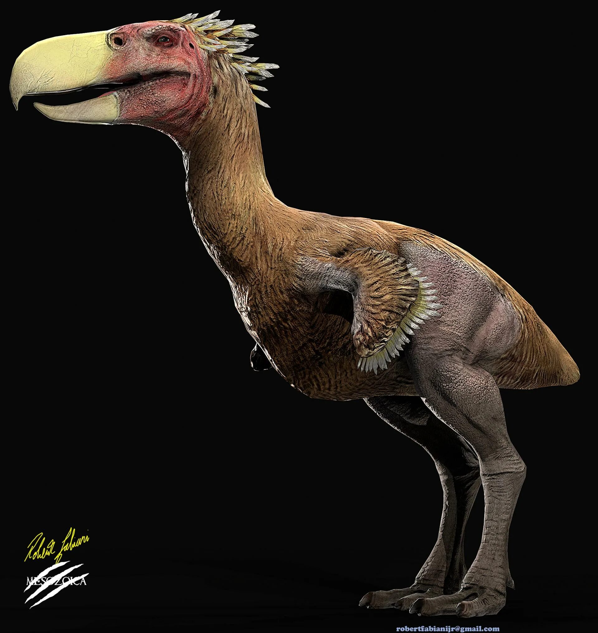 Фороракос келенкен. Титанис уоллера. Титанис уоллера птица. Титанис. Титанис валери.