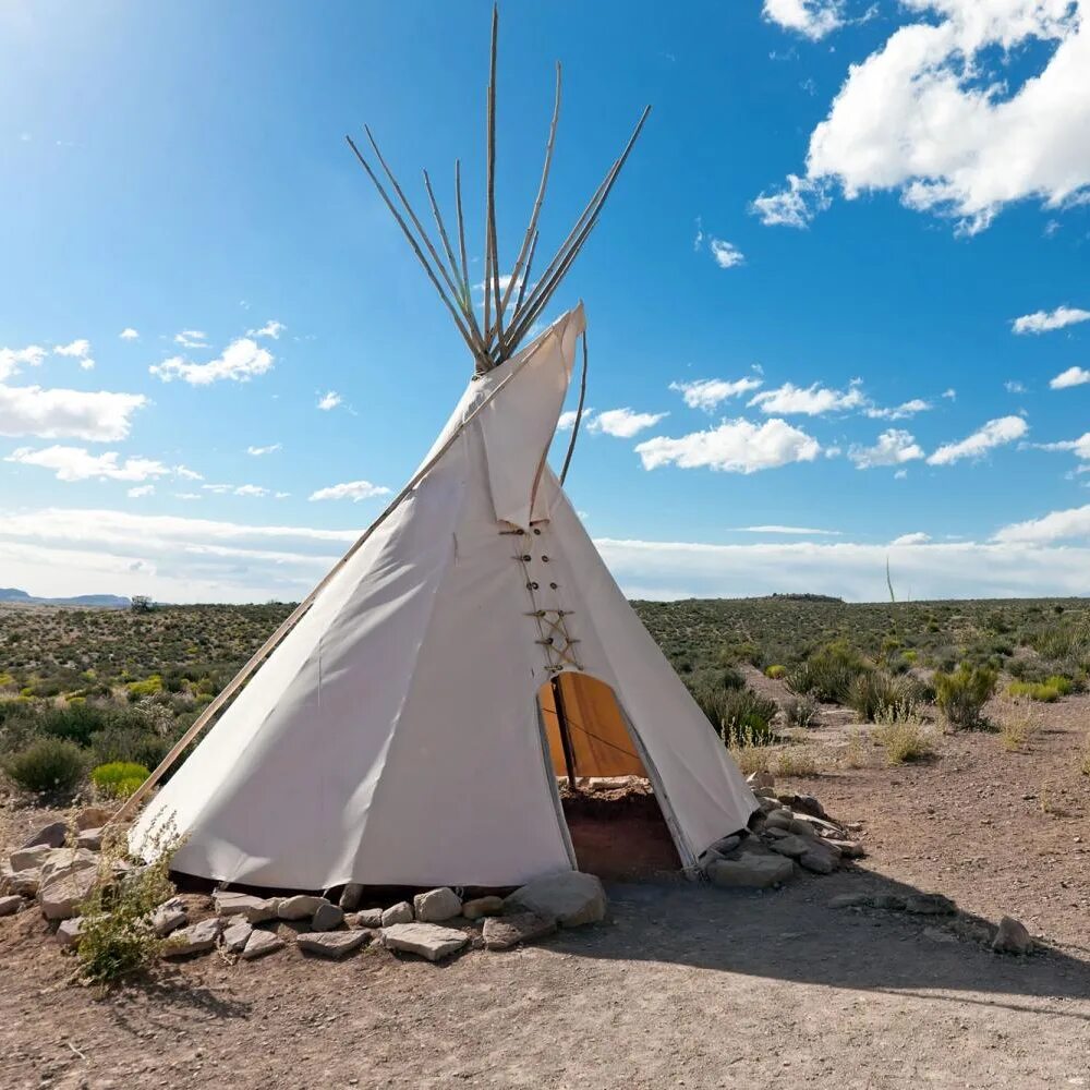 4 индейца. дэвид манн команчи. индейцы 4 буквы. журналы про индейцев. дэвид манн художник.